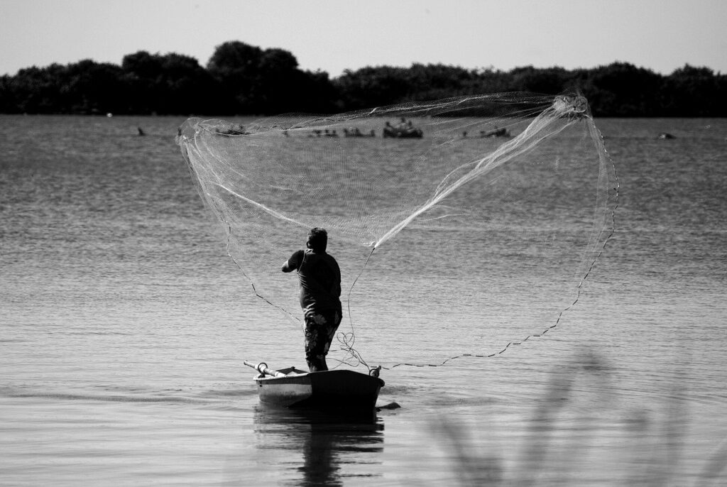 man, nature, fisherman-7834594.jpg